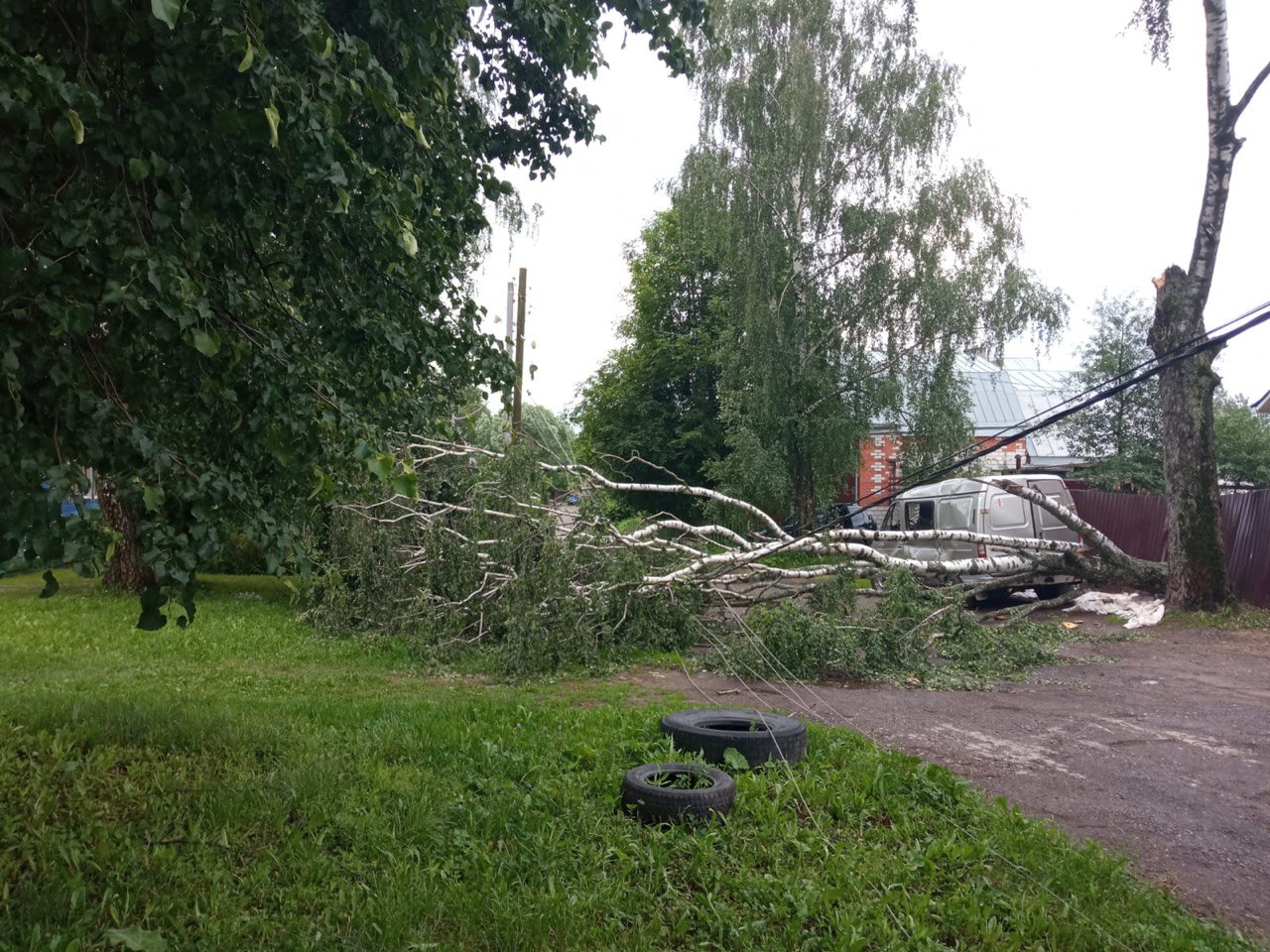 Ураган повалил во Владимирской области сотни деревьев - новости  Владимирской области