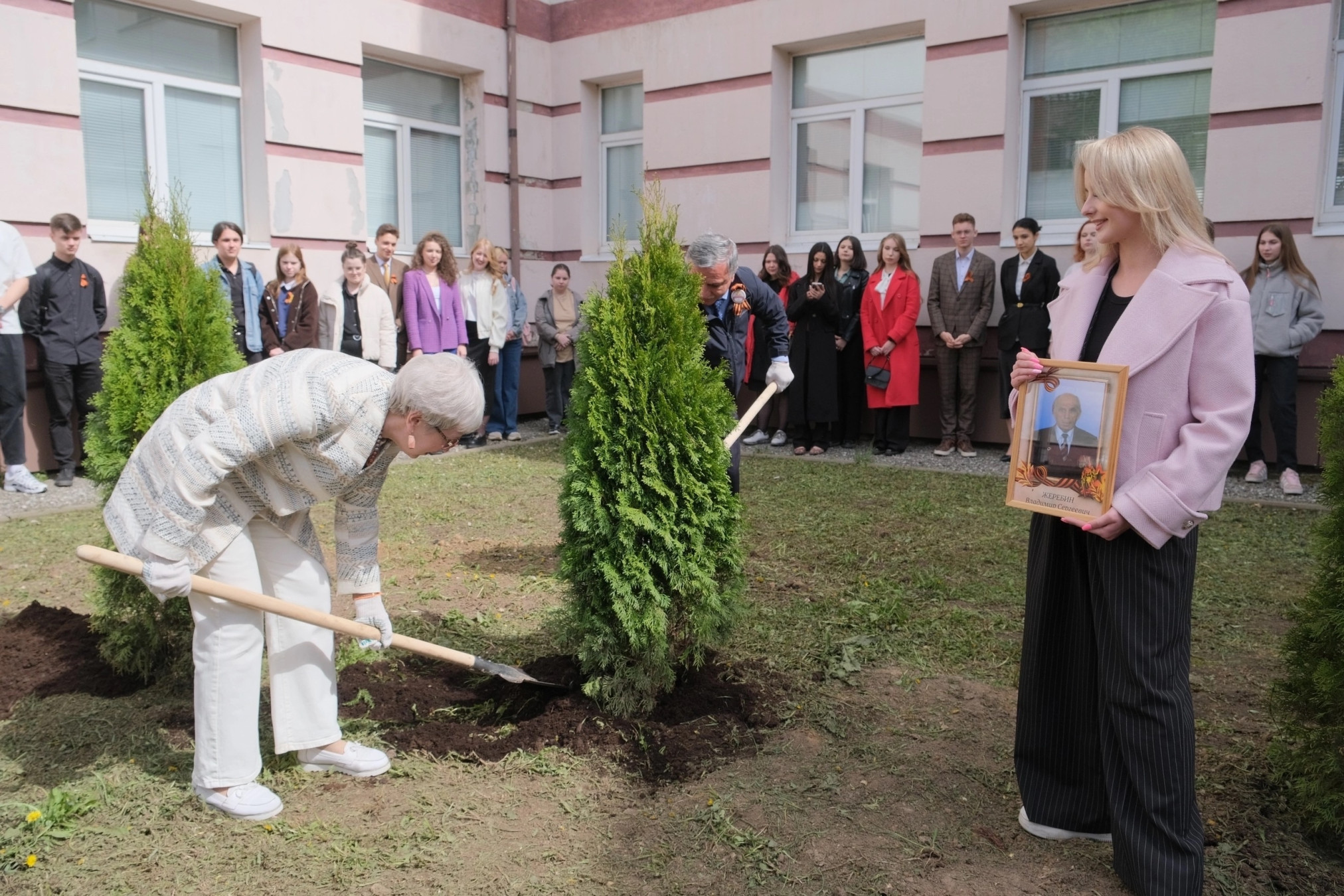 аллеи жеребин.jpg