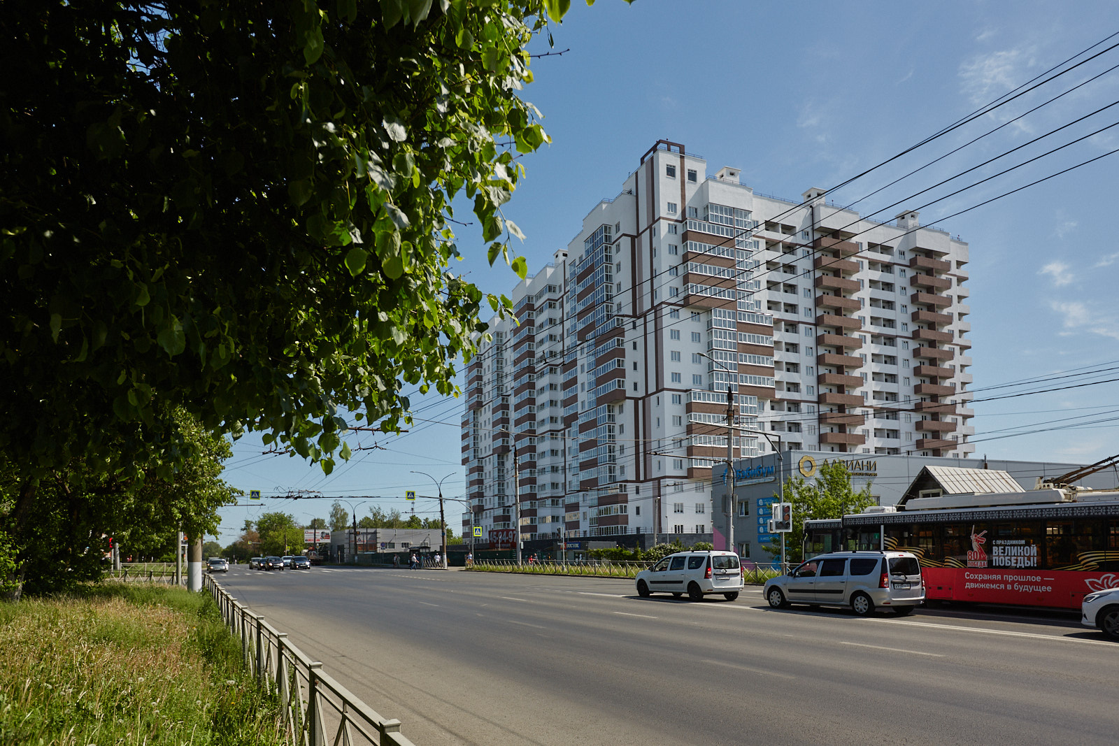 QQ0A6795.jpg