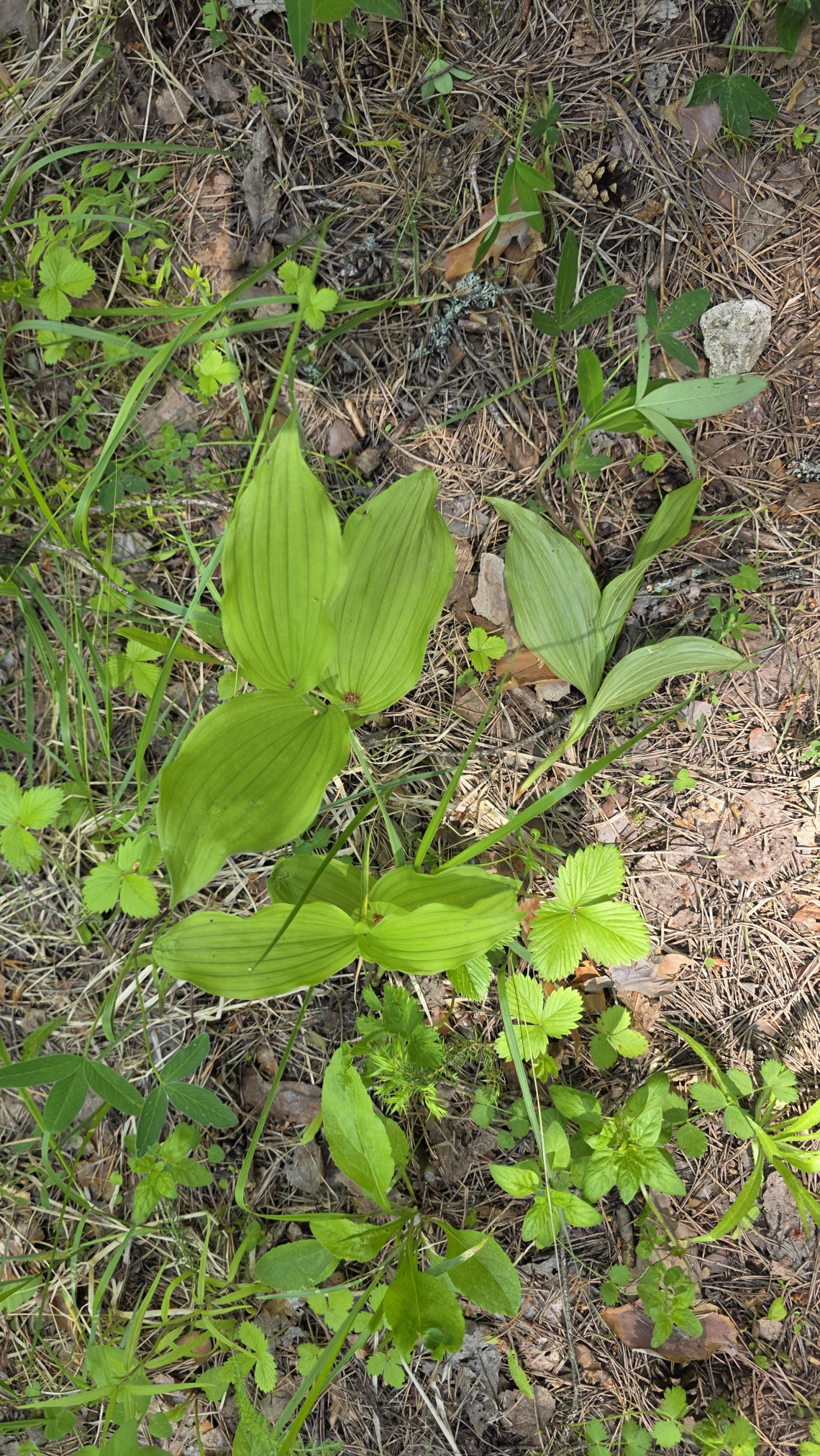 20260605_112351.jpg
