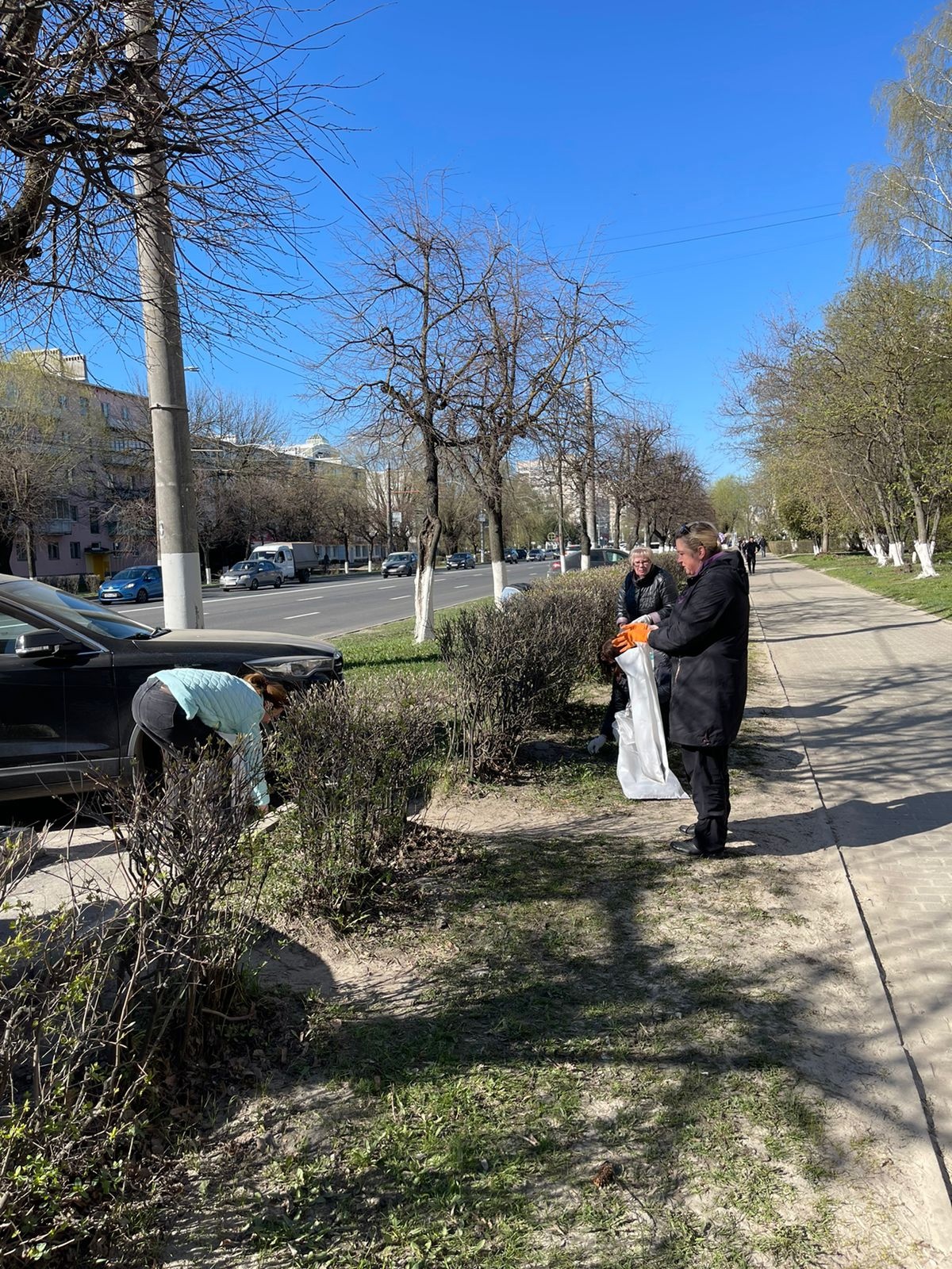 Тысячи владимирцев вышли на субботник - новости Владимирской области