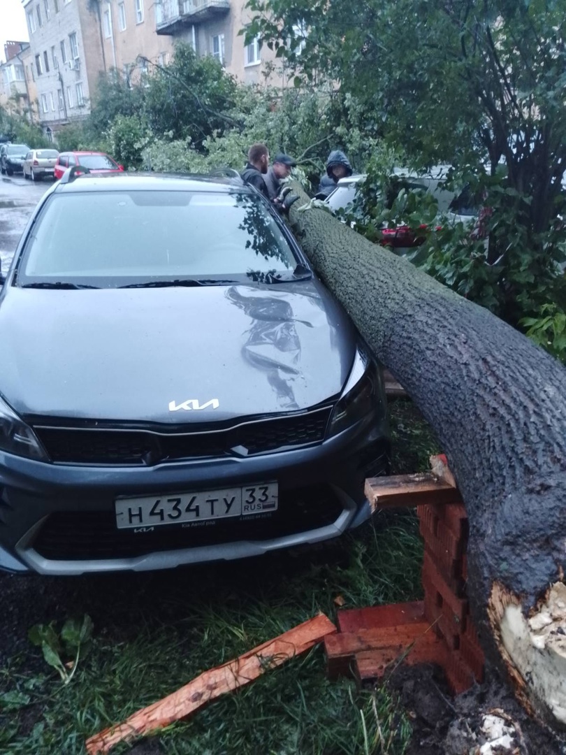 Ураган повалил во Владимирской области сотни деревьев | 21.06.2024 |  Владимир - БезФормата