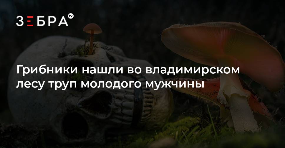 Трум Трум Лайфхаки Новые 2022 Года Трум Трум Лайфхаки Новые 2022 Года