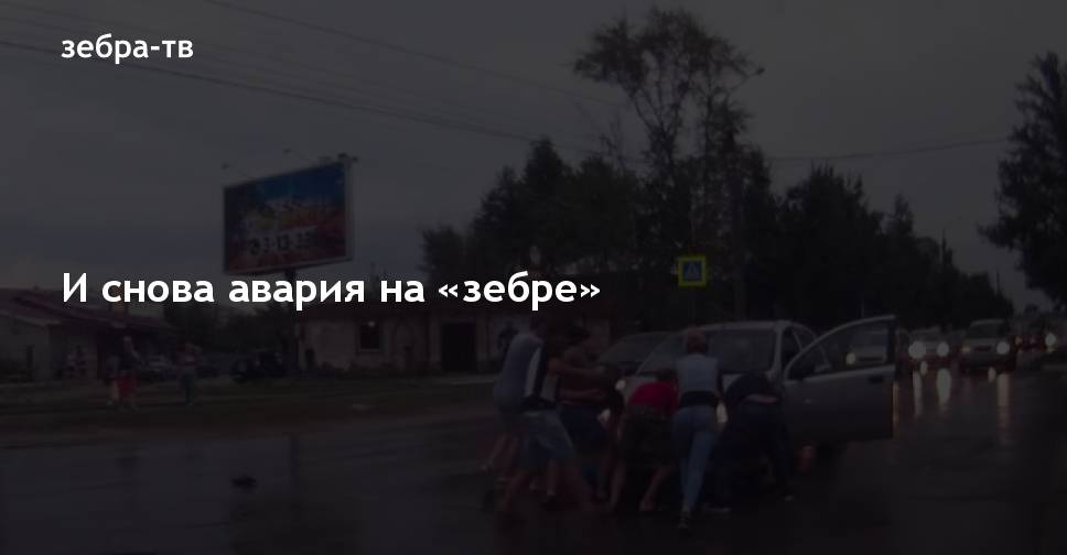 Новости владимира зебра