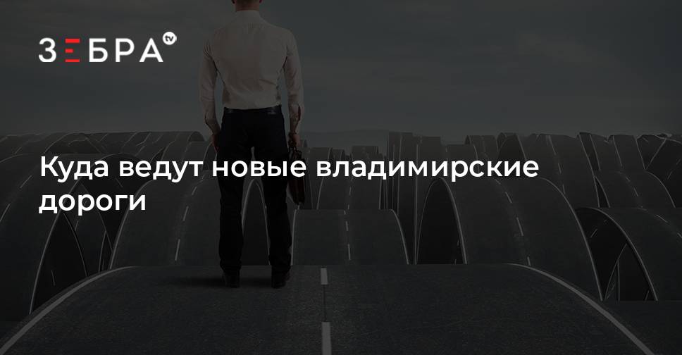 Новости владимира зебра