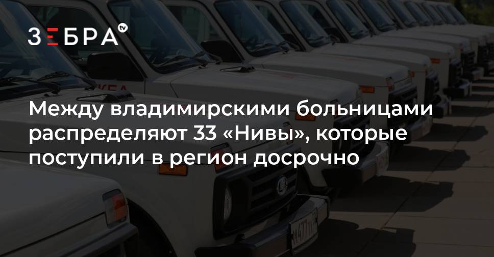 Зебра тв 33 новости владимирской