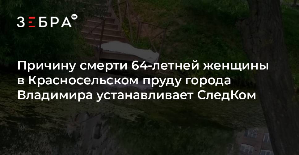 Причину смерти 64-летней женщины в Красносельском пруду города