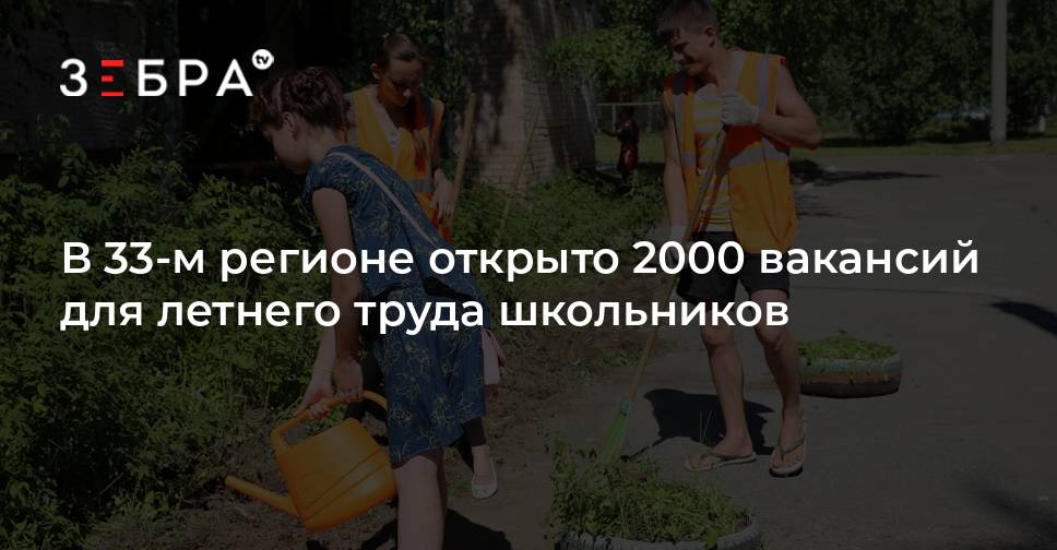 В 33-м регионе открыто 2000 вакансий для летнего труда школьников