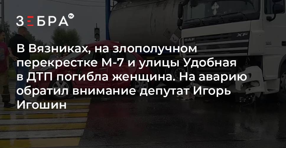Вязники зебра последние новости