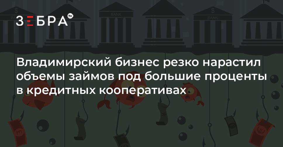 Владимирский бизнес резко нарастил объемы займов под большие проценты в кредитных кооперативах  новости Владимирской области