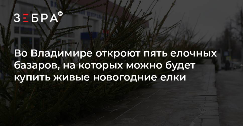 Будет Ли Новогодние Елки