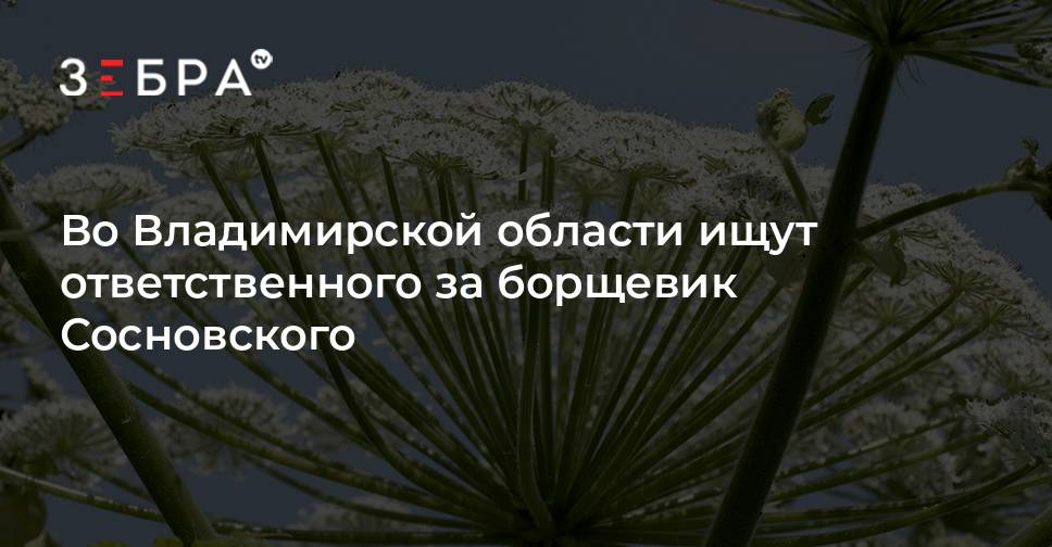 Карта распространения борщевика сосновского