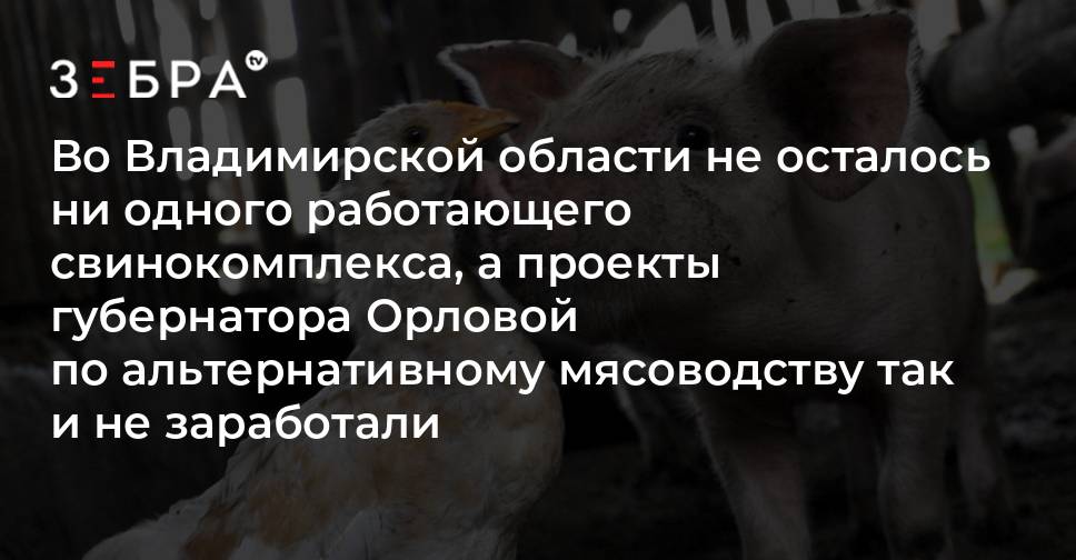 Свиньи Как Бизнес Новые Серии 2022 Года Свиньи Как Бизнес Новые Серии 2022 Года