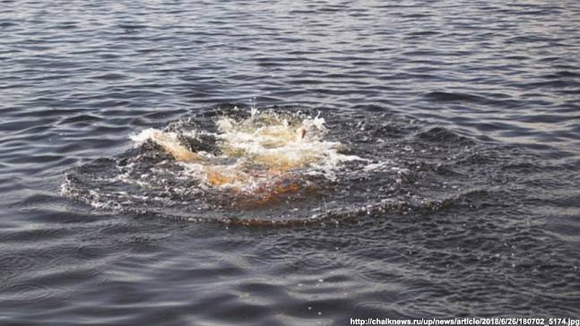 В майские праздники спасатели зафиксировали первый случай гибели человека в воде