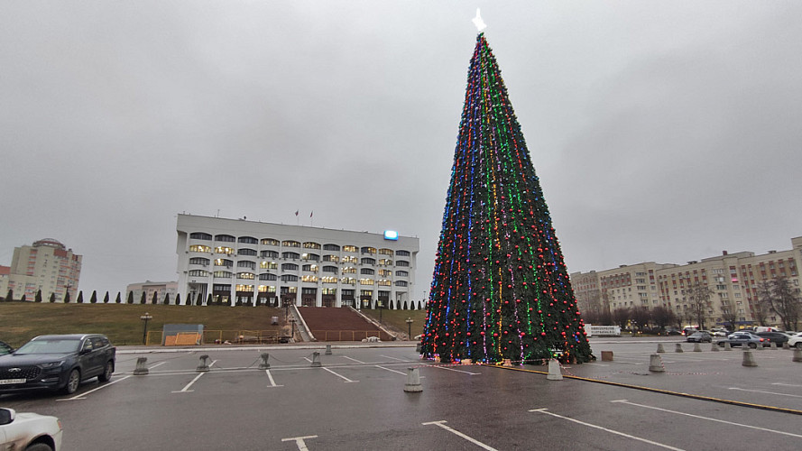 Елка перед владимирским Белым домом снова отвесила поклон областным чиновникам