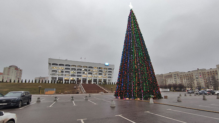 Елка перед владимирским Белым домом снова отвесила поклон областным чиновникам