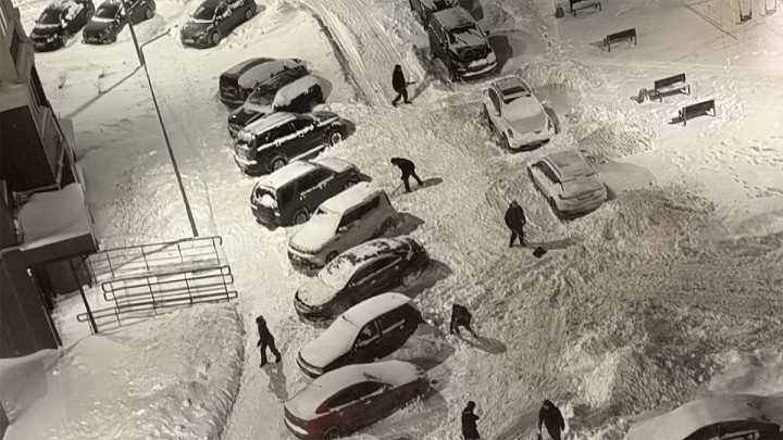 Чиновники призывают владимирцев поучаствовать в расчистке дворов от снега