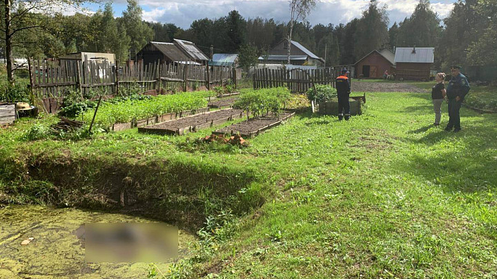 Пожилая женщина утонула в пруду на своём дачном участке под Собинкой