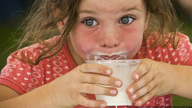 Поставщика «подозрительной» молочной продукции для детей оштрафовали на 100 тысяч