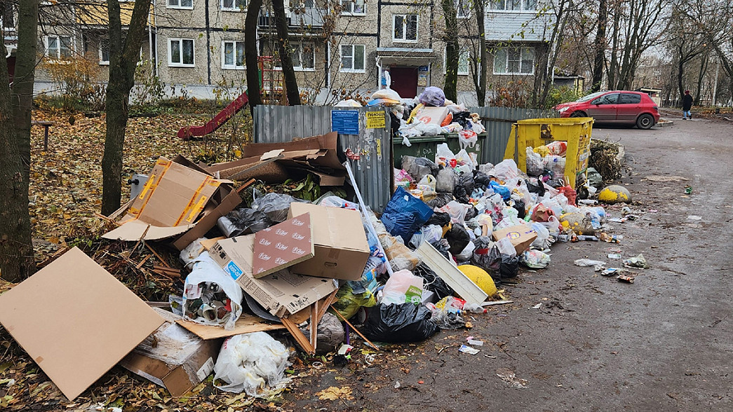 Жители города Владимира завалили прокуроров жалобами на неубранный мусор