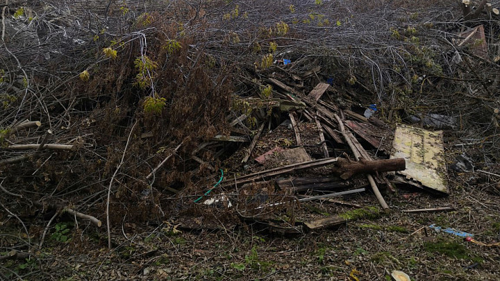 Стихийную свалку площадью пол-гектара ликвидировали в черте Коврова после вмешательства прокуроров