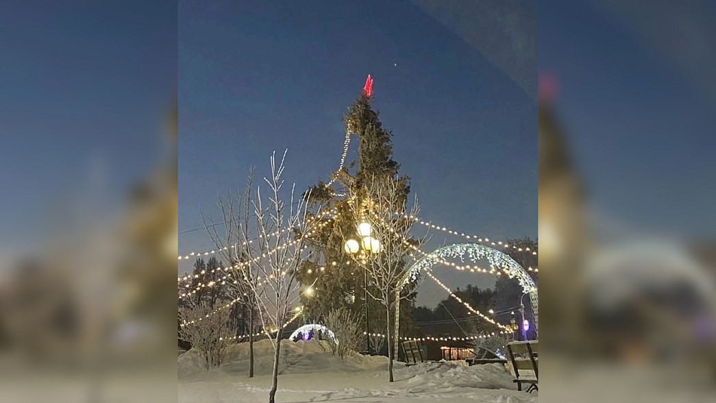 Кольчугинская елка претендует на звание анти-символа Нового года