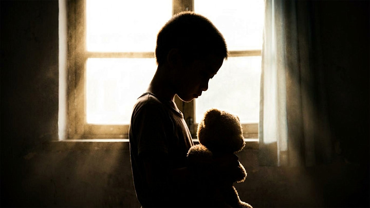 Сколько во Владимирской области детей-сирот?