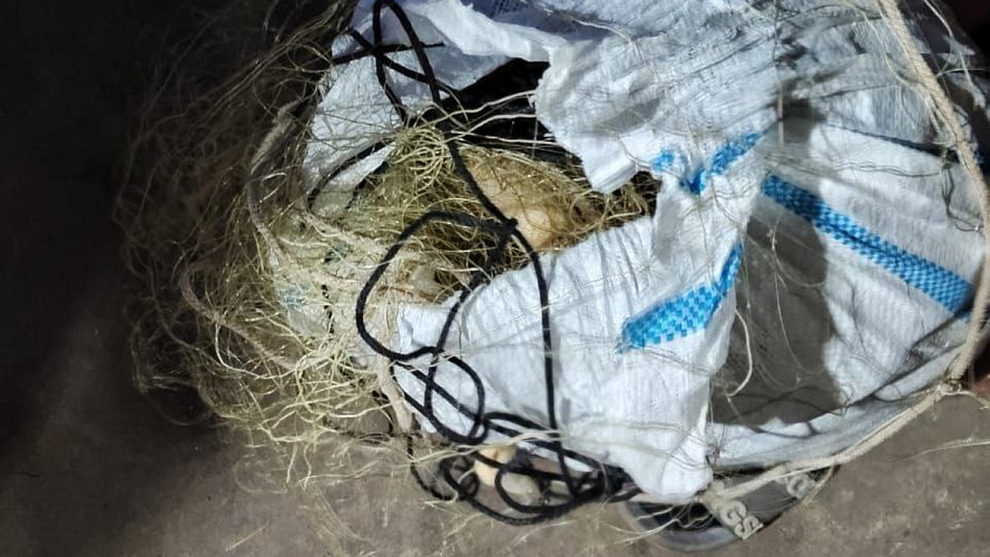 Выловленная из Оки стерлядь стала для браконьера золотой