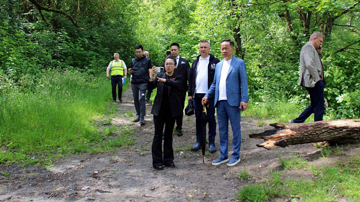 Китайцы добрались до Старых садов Владимира
