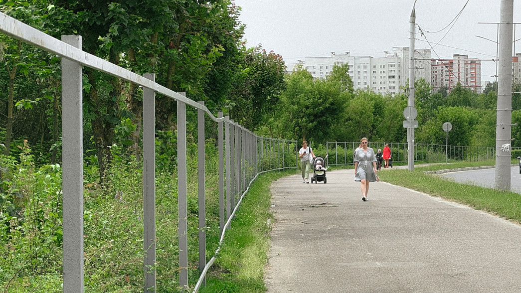 Старые сады во Владимире закрывают сплошным металлическим забором