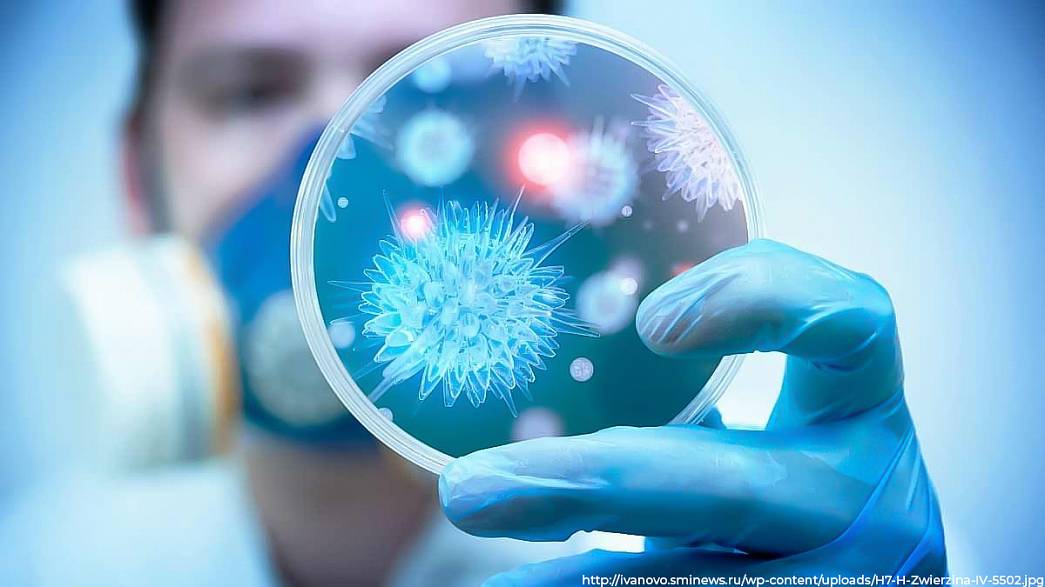 К утру 3 января во Владимирской области выявили 175 новых пациентов с коронавирусом
