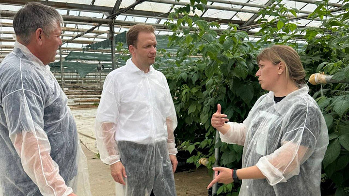 Как вытащить государственный комбинат «Тепличный» из нового кризиса?