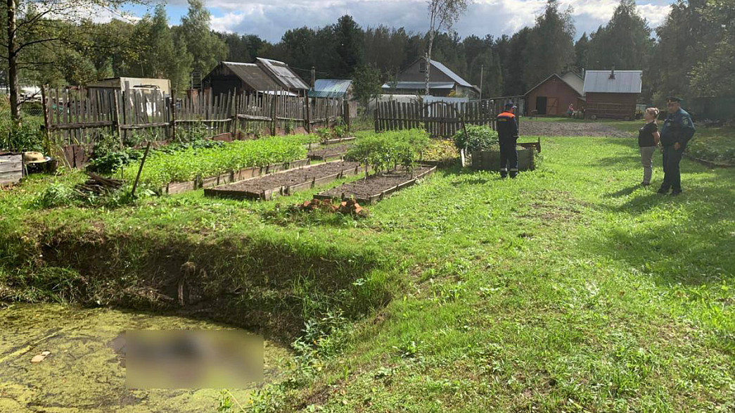 Пожилая женщина утонула в пруду на своём дачном участке под Собинкой