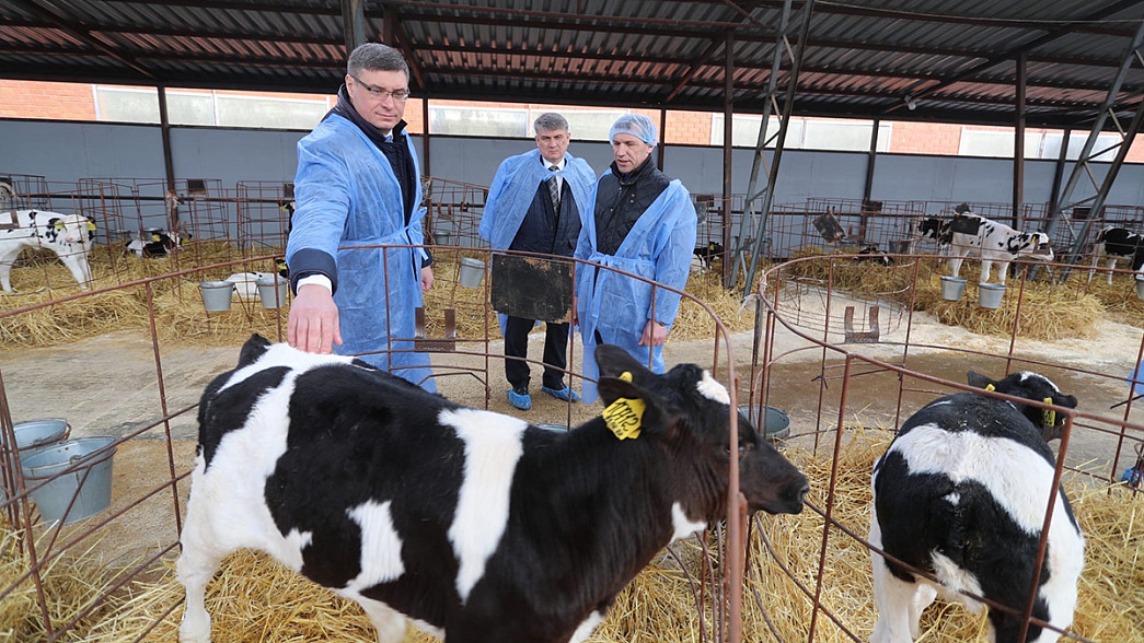 Врио губернатора Авдеев уверен, что владимирские фермеры могут увеличить объемы производства в два раза