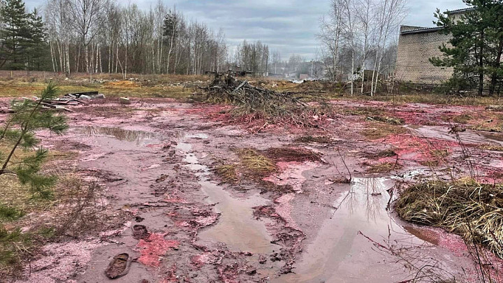 Розовые реки в петушинских лесах появились из-за аварии на промышленном предприятии