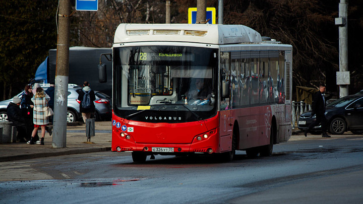Мэрия Владимира кроит сеть общественного транспорта: автобусы 22С и 28 поедут по новым маршрутам