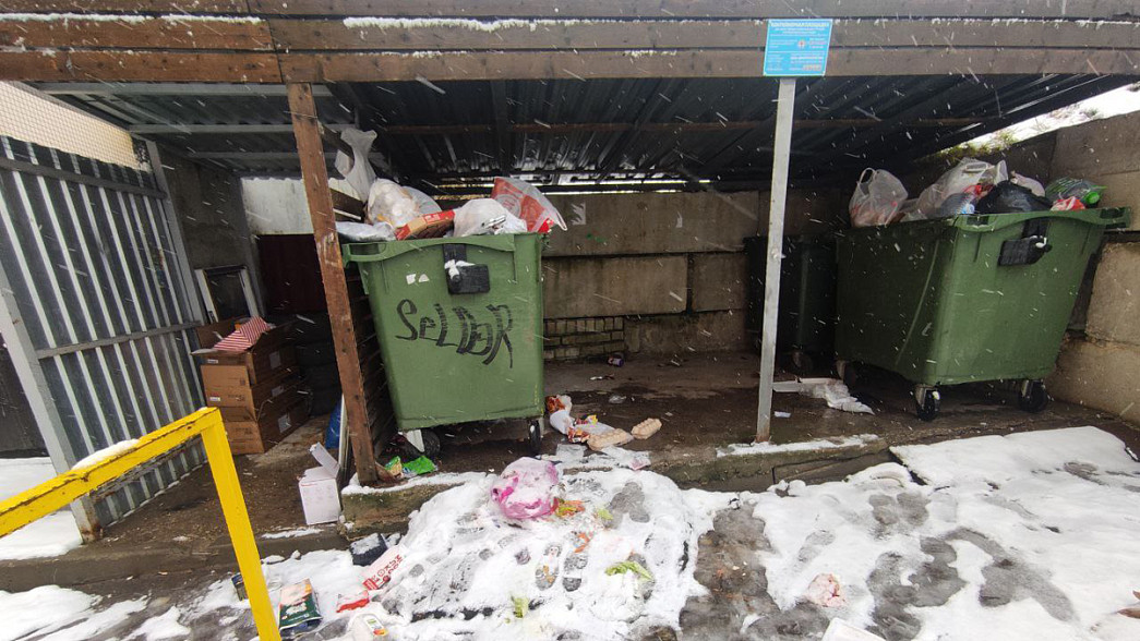 Директоров управляющих компаний массово штрафуют за плохое содержание контейнерных площадок