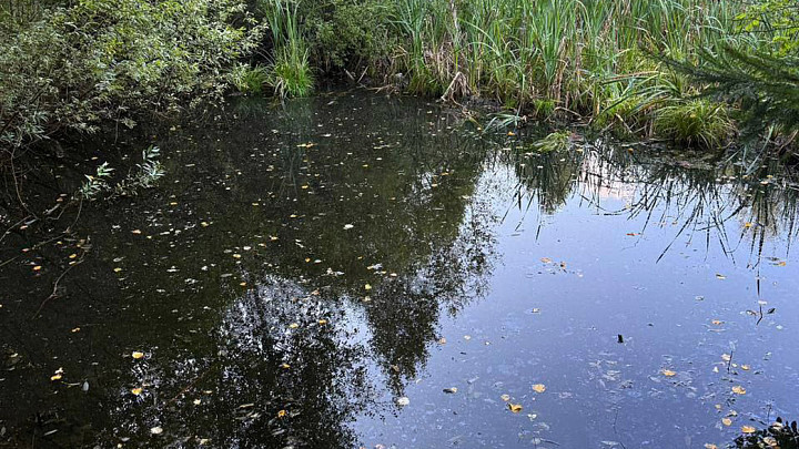 Из водоема извлечено тело 4-летнего мальчика. Возбуждено уголовное дело