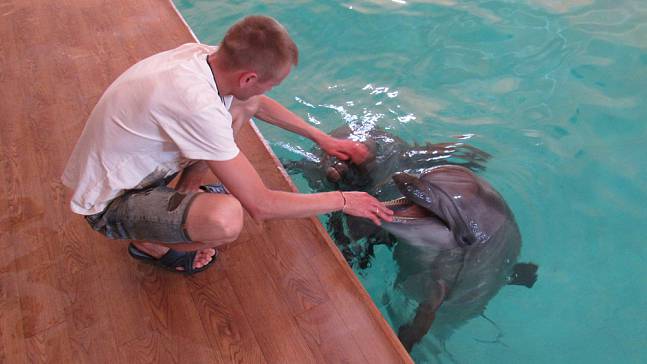 Защита дельфинов