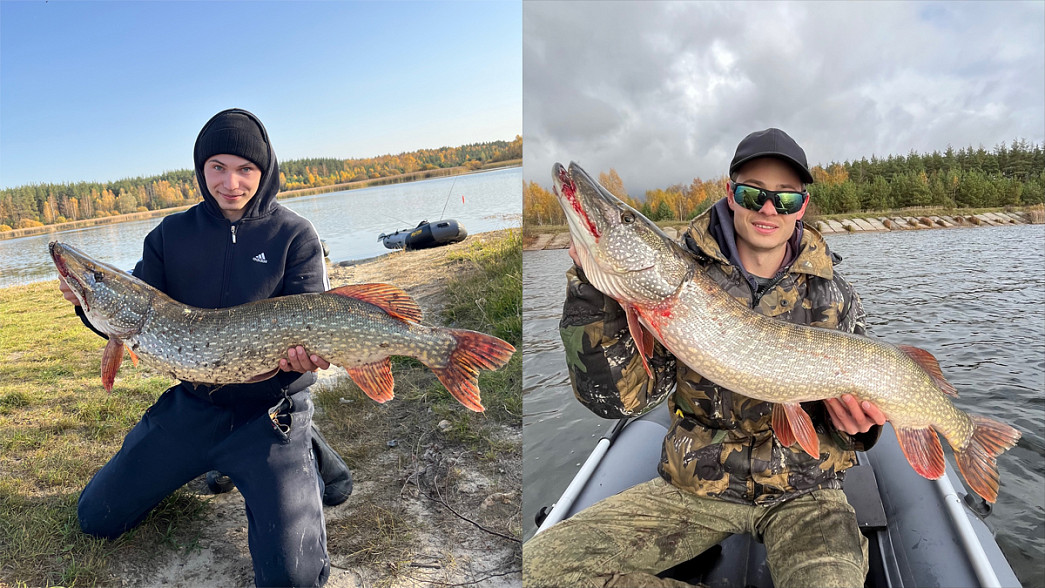 Две царь-щуки за два дня: владимирские парни стали героями рыбацких чатов