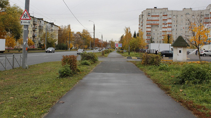 Городу Владимиру начнут возвращать деревья целыми аллеями