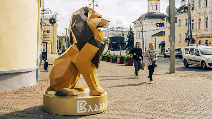 От чего вымирает город Владимир