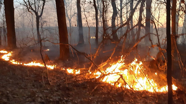 Пожар произошёл в пойме реки на юго-востоке Владимирской области