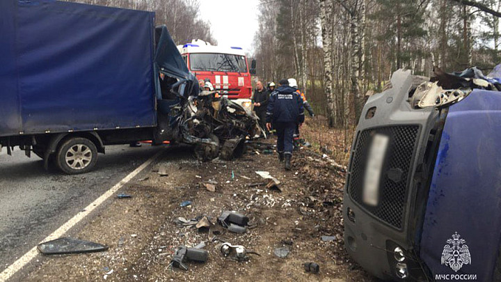 Под Муромом произошло лобовое столкновение двух ГАЗелей