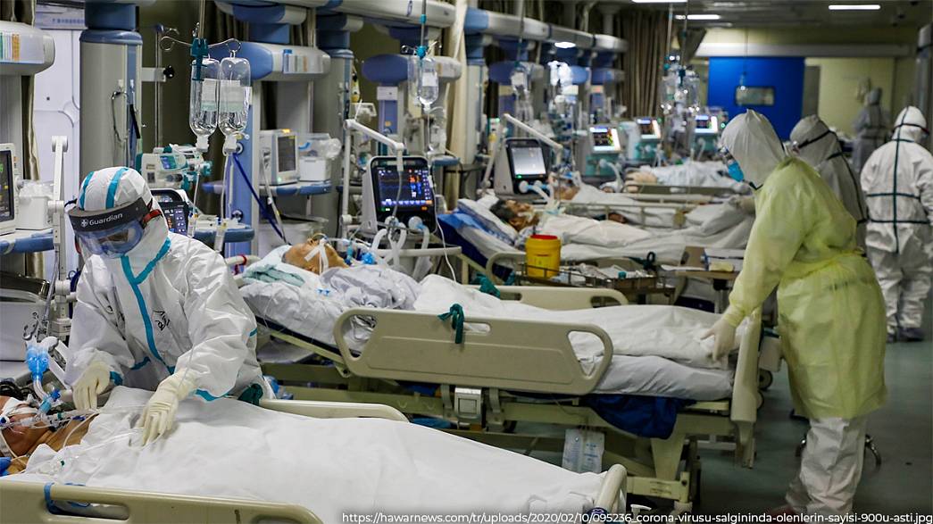 Владимирский Белый дом предпринимает вторую попытку развернуть в регионе быстровозводимый инфекционный госпиталь