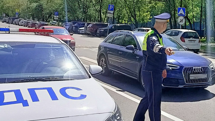 Пьяного пассажира, обматерившего ГАИшника, исправит труд или штраф