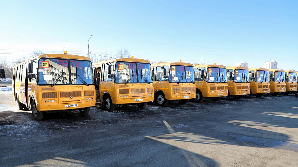 Между владимирскими школами распределили новые автобусы