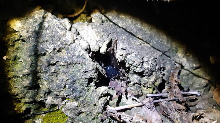 Владимирцев призывают следить за детьми, чтобы они не становились закладчиками наркотиков