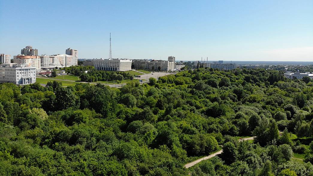 Владимирский Белый дом заказал проект благоустройства старых садов на улице Мира
