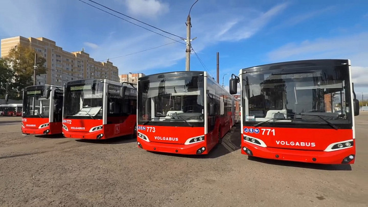 Во Владимир пригнали новые автобусы-гармошки